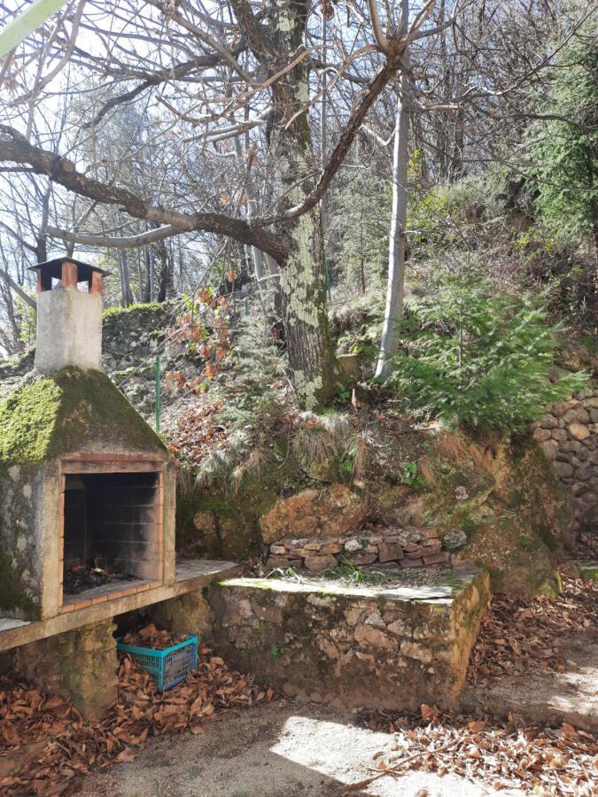 Mandagout Maison De Famille Dans Les Cevennes 빌라 외부 사진